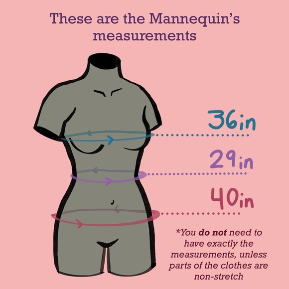 Where is Bust, Waist, and Hips - Picture 2 of 2